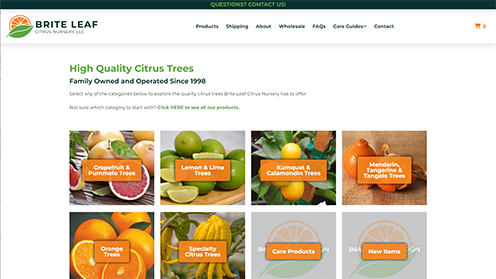 Brite Leaf Citrus Nursery Website